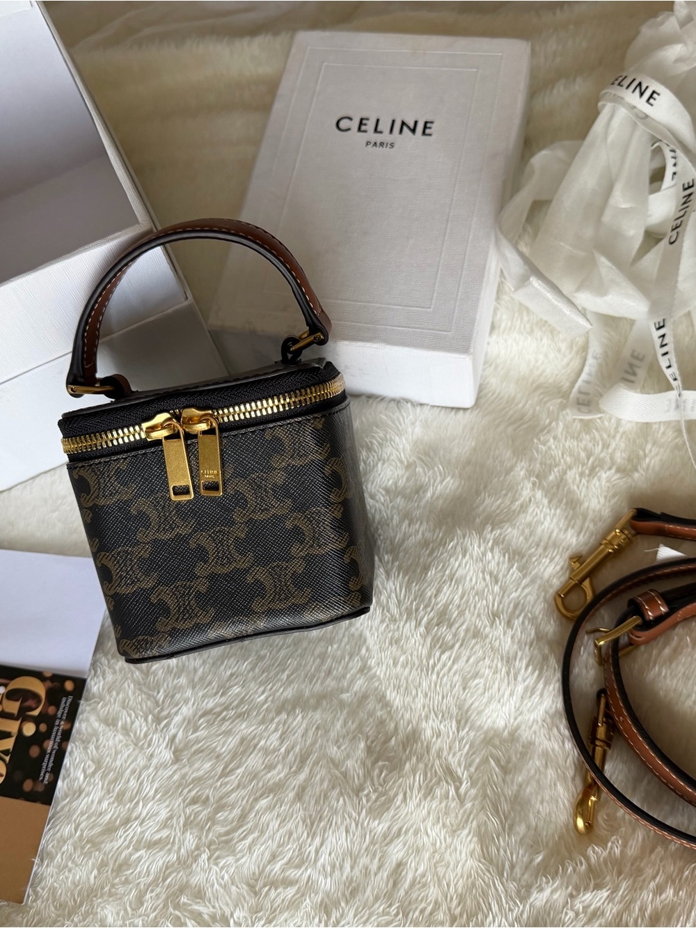 CELINE Brown Triomphe Mini Vanity Cube Bag with Gold Hardware